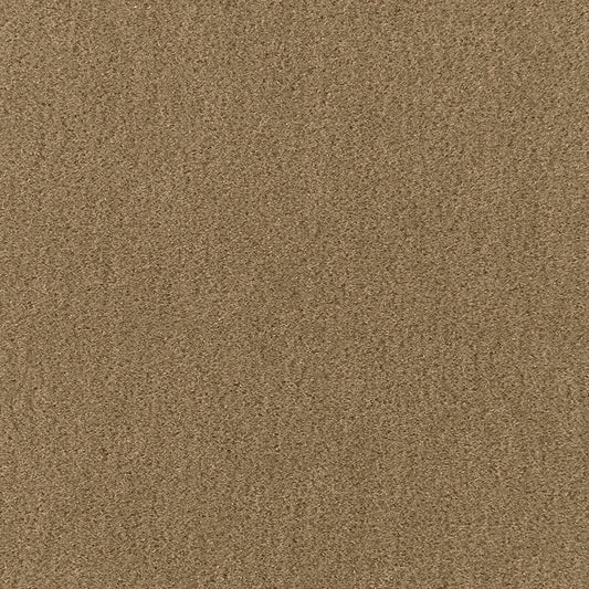 View 64895 San Carlo Mohair Velvet Herb by Schumacher Fabric