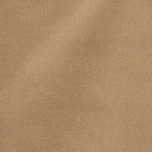 Find 64898 San Carlo Mohair Velvet Doe by Schumacher Fabric