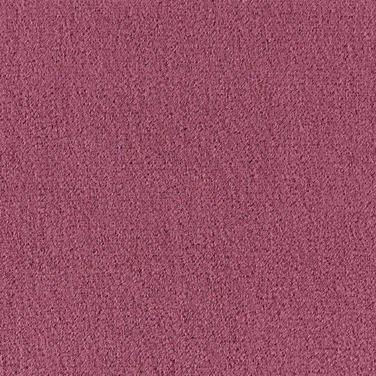 Shop 64902 Palermo Mohair Velvet Mulberry by Schumacher Fabric