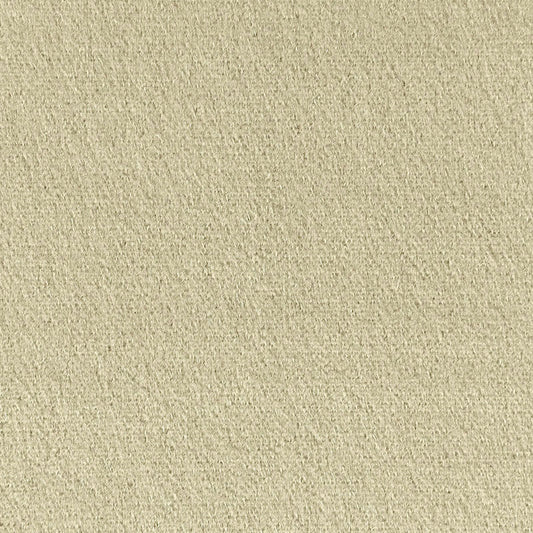 Purchase 64932 Palermo Mohair Velvet Eau De Nil by Schumacher Fabric
