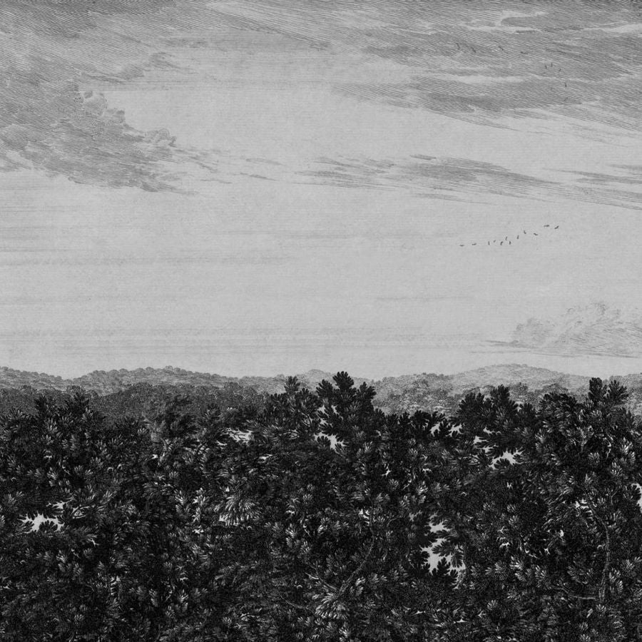 Save on Sandberg Wallpaper Pattern 658-31 pattern name & color Oak View Graphite