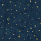 Sandberg Wallpaper Pattern 659-96 pattern name & color Starry Sky, Petrol from the collection Löfstad. 