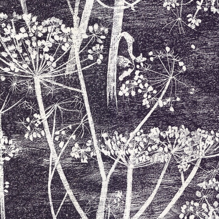 Sample 66/7046 Cole and Son