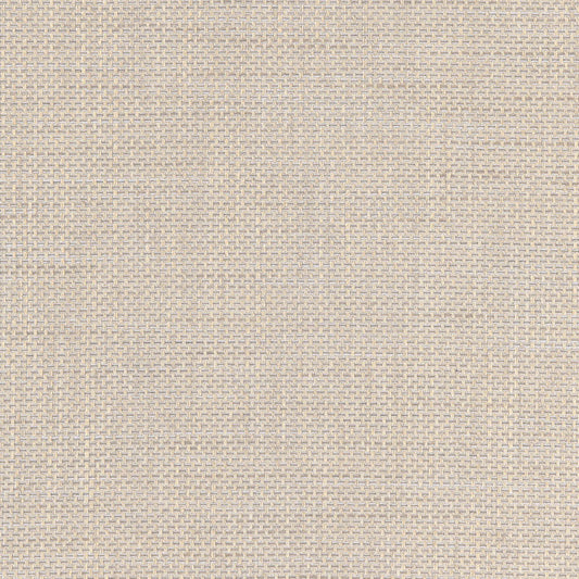 Buy 66470 Chatelet Weave Zinc by Schumacher Fabric