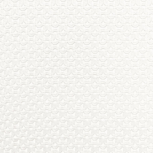 Shop 67630 Riccardi Sheer Ivory by Schumacher Fabric