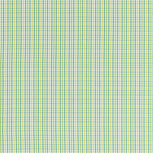 Buy 68050 Bahama Check Lagoon by Schumacher Fabric