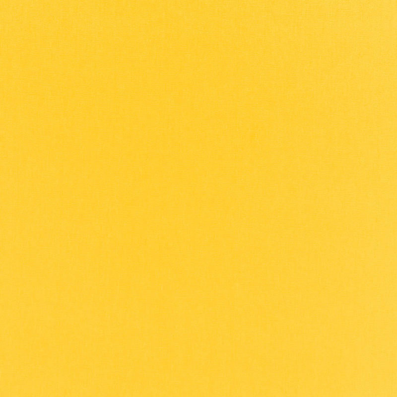 Buy 68130 Sophia Velvet Jonquil by Schumacher Fabric