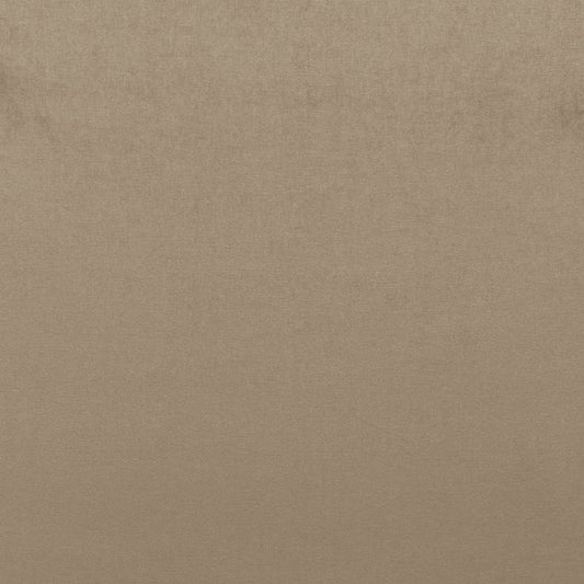 Search 68161 Sophia Velvet Mushroom by Schumacher Fabric