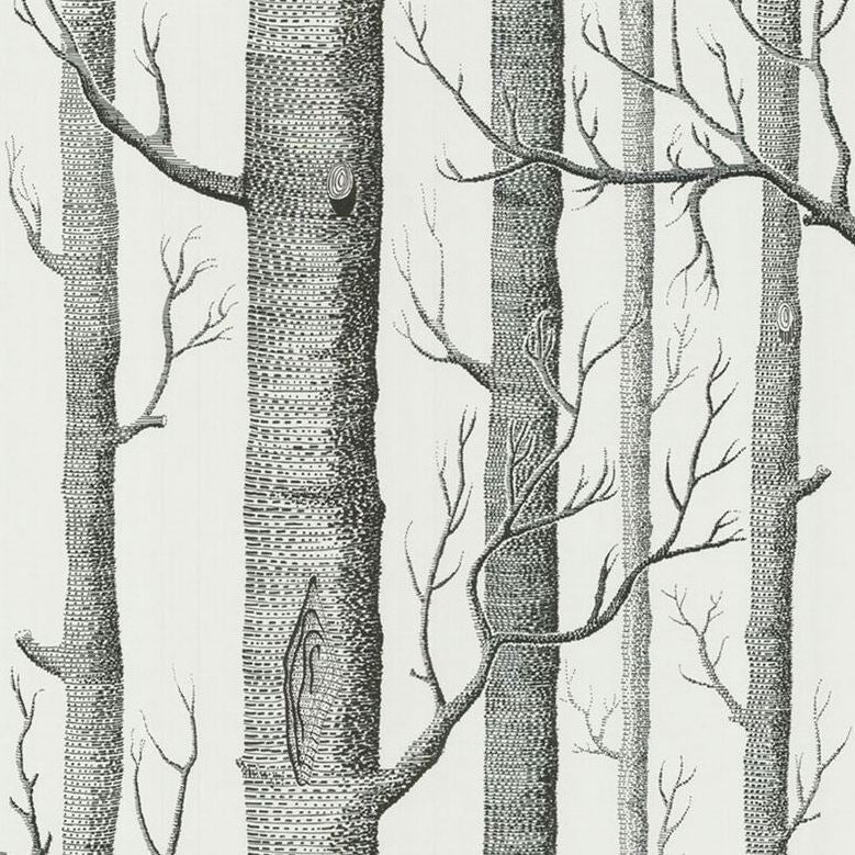 Sample 69/12147 Cole and Son