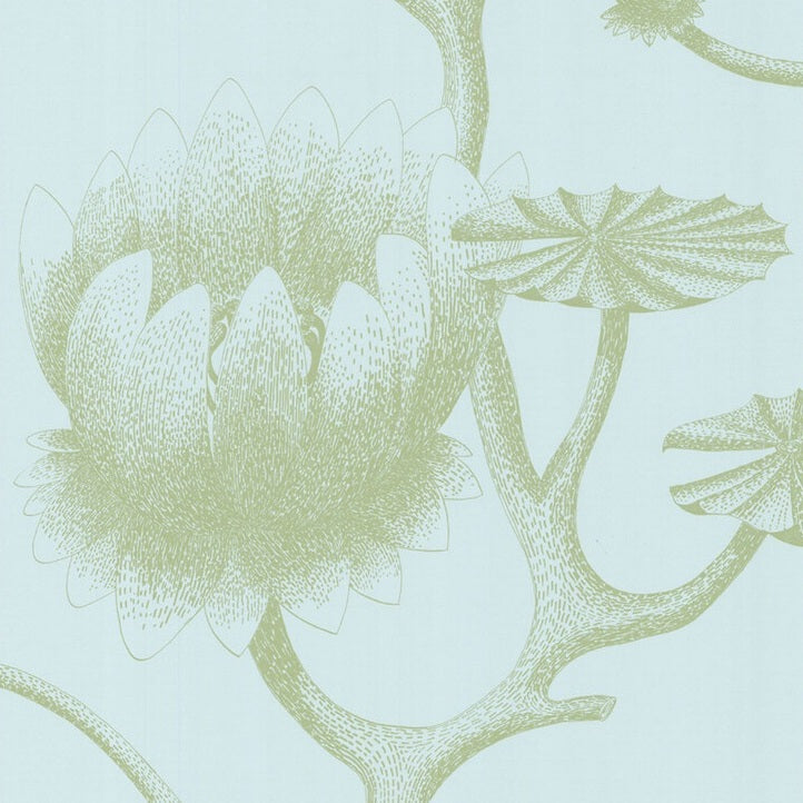 Sample 69/3112 Cole and Son