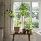 Purchase 6951 | Angsflora, Spring - Borastapeter Wallpaper
