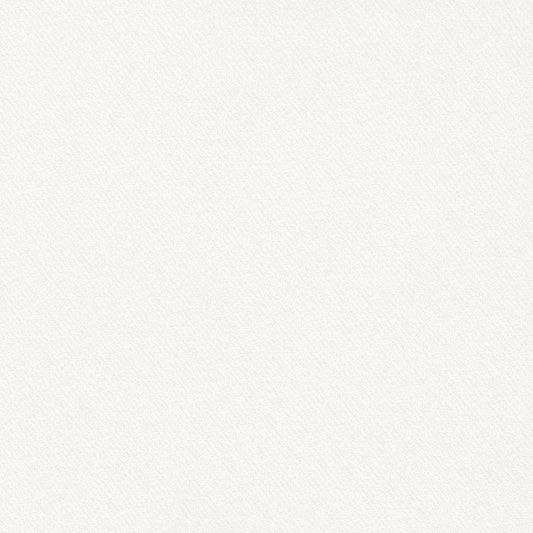 Order 69587 Blake Cloud by Schumacher Fabric