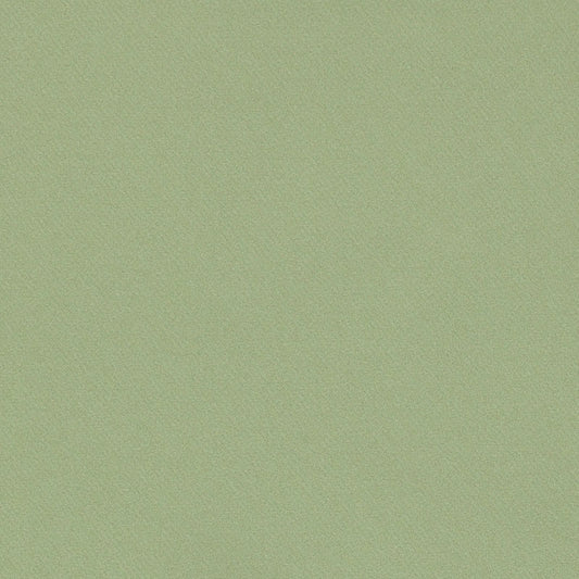 Save 69591 Blake Moss by Schumacher Fabric