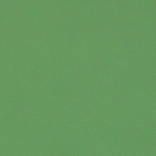 Acquire 69593 Blake Grass by Schumacher Fabric