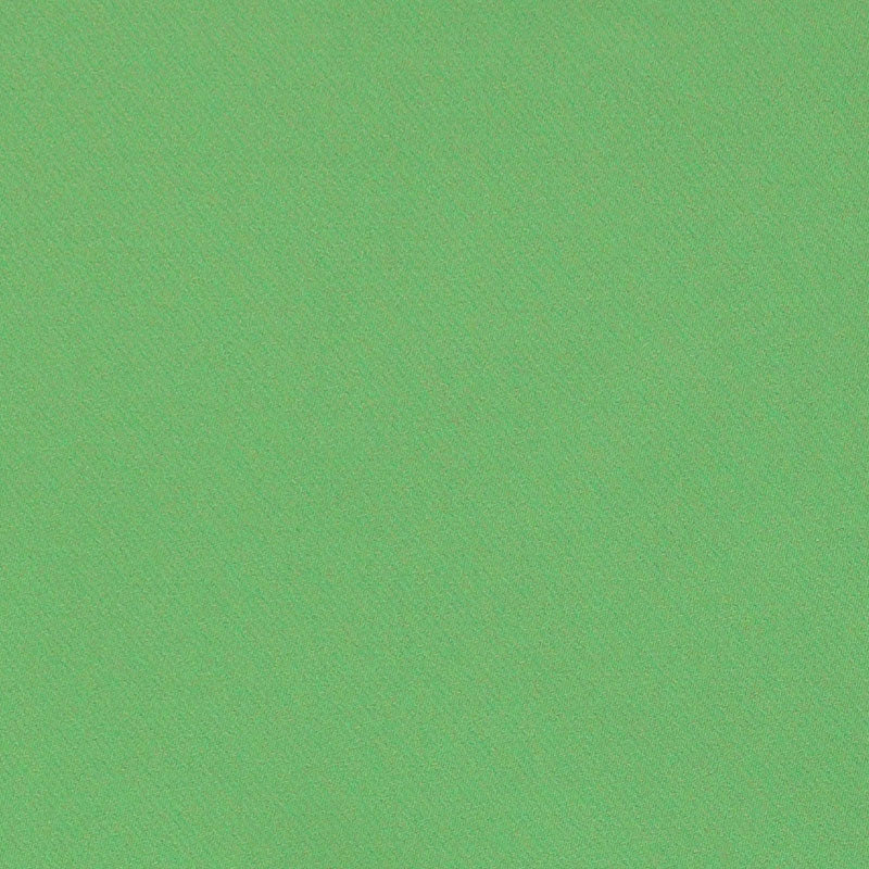 Shop 69594 Blake Kiwi by Schumacher Fabric