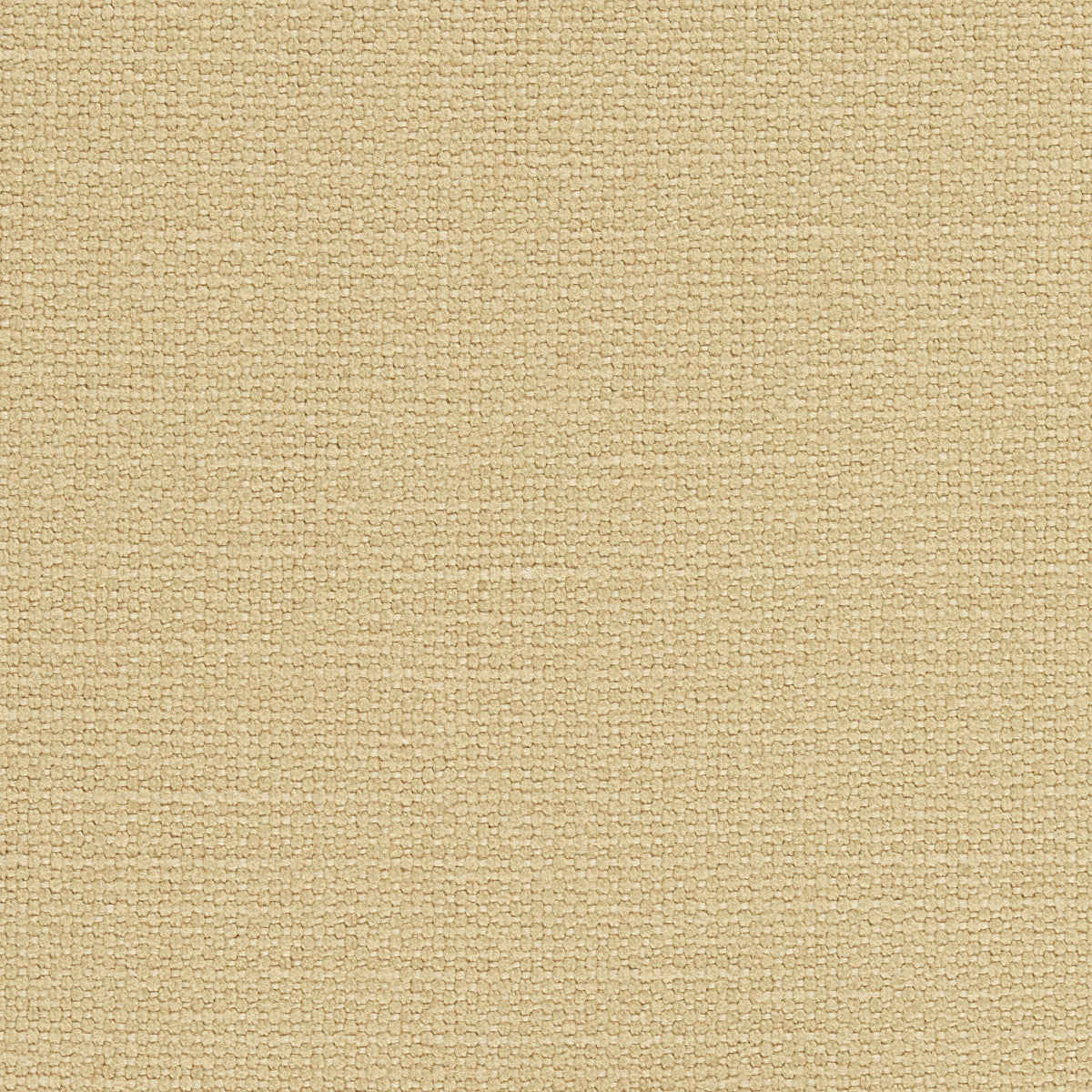 Order 69616 Langham Camel by Schumacher Fabric