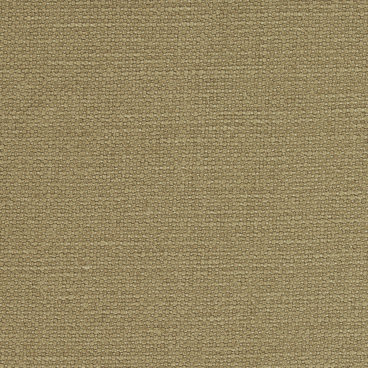 Find 69618 Langham Barley by Schumacher Fabric