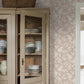 Purchase 6965 | Syren, Blush - Borastapeter Wallpaper