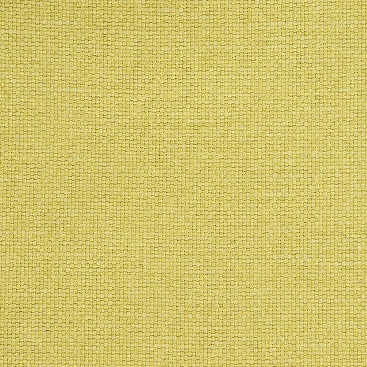 Purchase 69667 Langham Lime by Schumacher Fabric