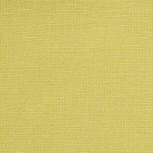 Purchase 69667 Langham Lime by Schumacher Fabric