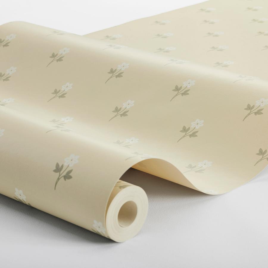 Purchase 6972 | Anemone By Borastapeter, Wheat - Borastapeter Wallpaper