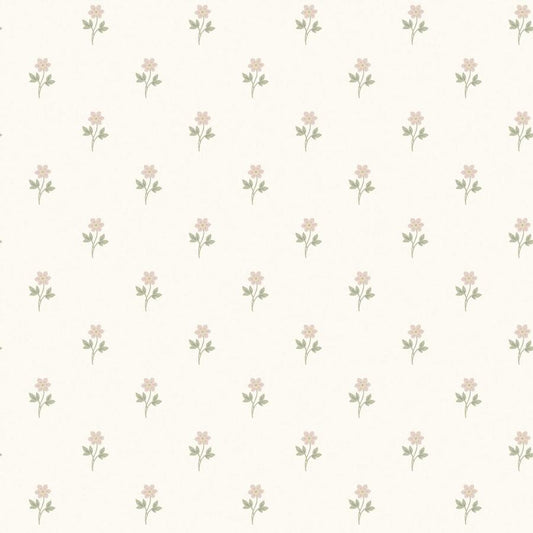 Purchase 6973 | Anemone By Borastapeter, Blush - Borastapeter Wallpaper
