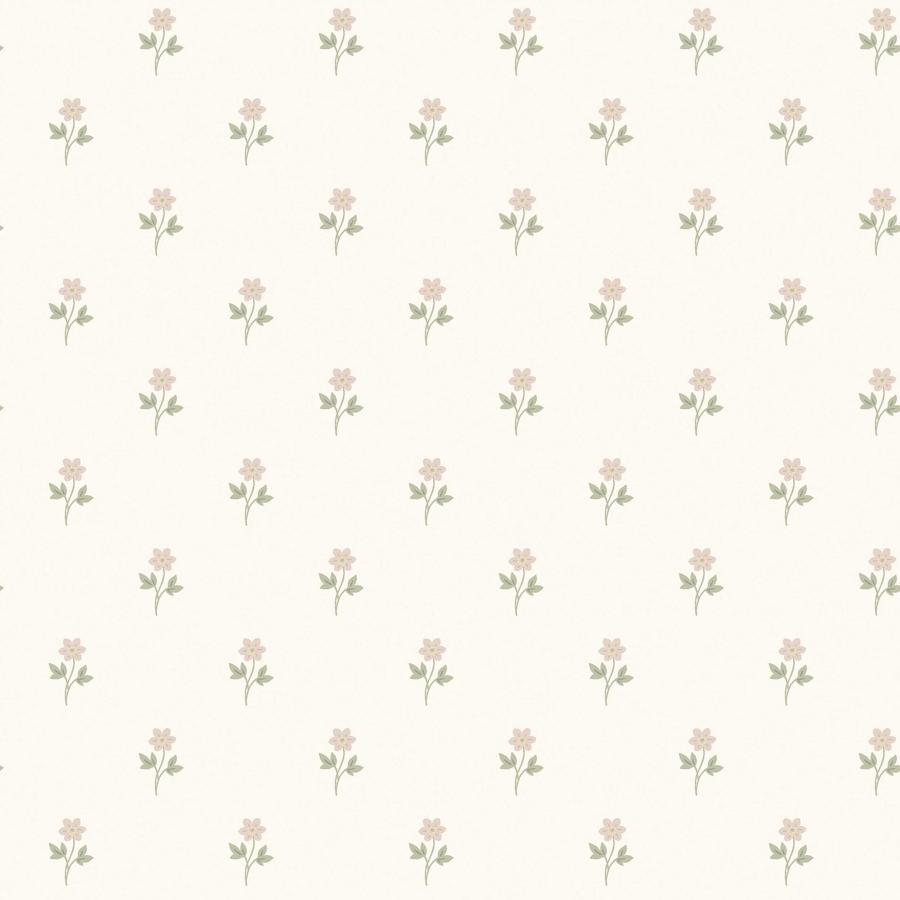 Purchase 6973 | Anemone By Borastapeter, Blush - Borastapeter Wallpaper