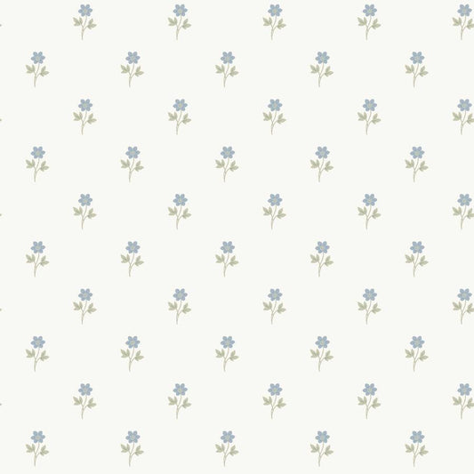 Purchase 6974 | Anemone By Borastapeter, Blue - Borastapeter Wallpaper