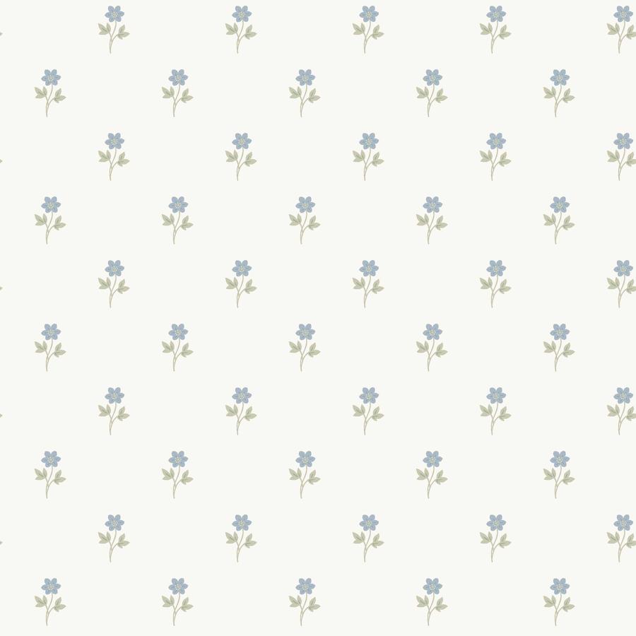 Purchase 6974 | Anemone By Borastapeter, Blue - Borastapeter Wallpaper