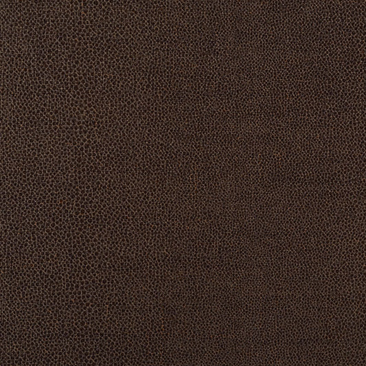 Looking 70380 Gloss Shagreen Saddle by Schumacher Fabric