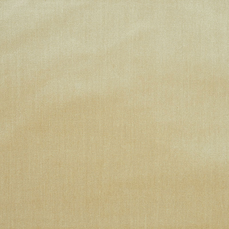 Buy 70422 Venetian Silk Velvet Oyster by Schumacher Fabric