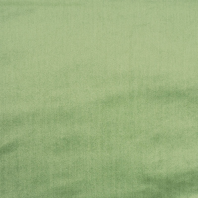 Purchase 70437 Venetian Silk Velvet Aloe by Schumacher Fabric