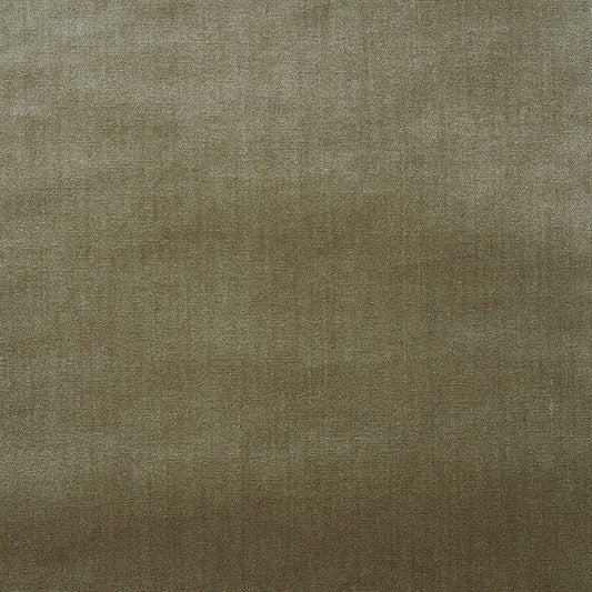 View 70439 Venetian Silk Velvet Lichen by Schumacher Fabric
