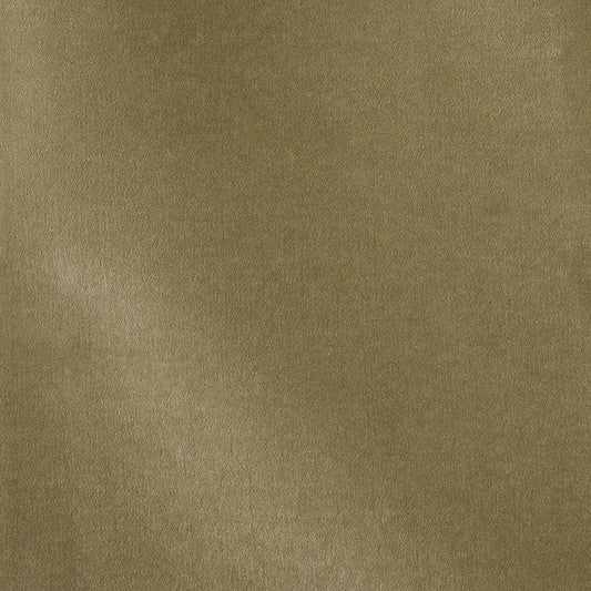 Purchase 70493 Rocky Performance Velvet Sage by Schumacher Fabric