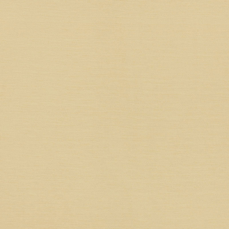 Shop 70941 Lampedusa Ecru by Schumacher Fabric