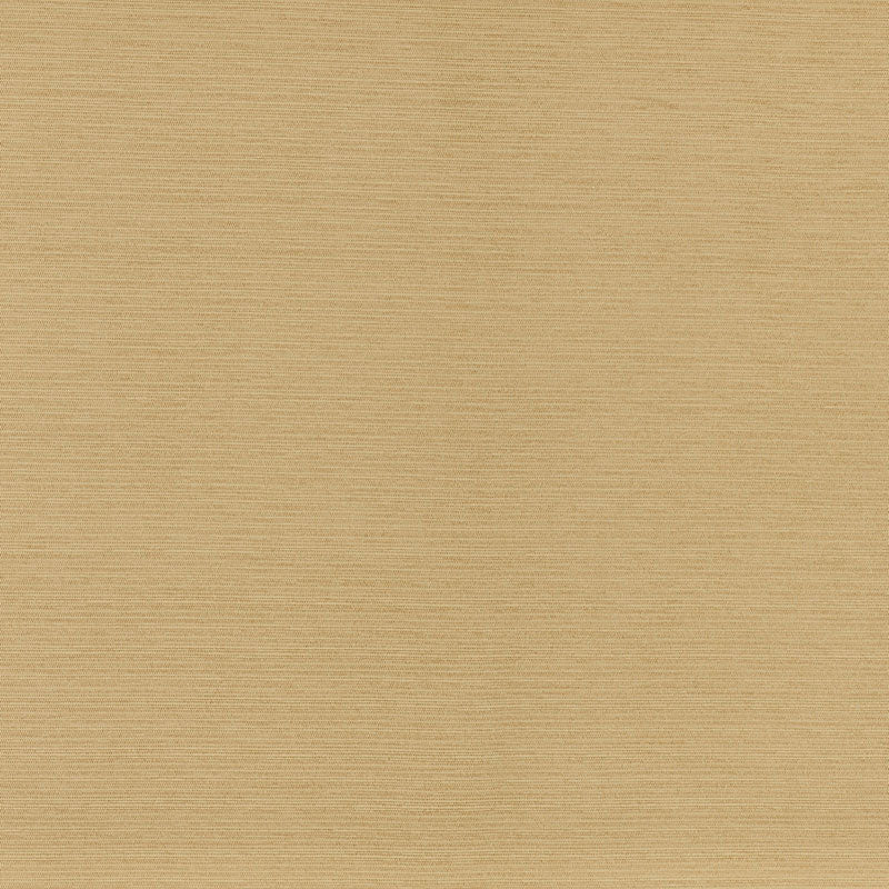 Looking 70942 Lampedusa Straw by Schumacher Fabric