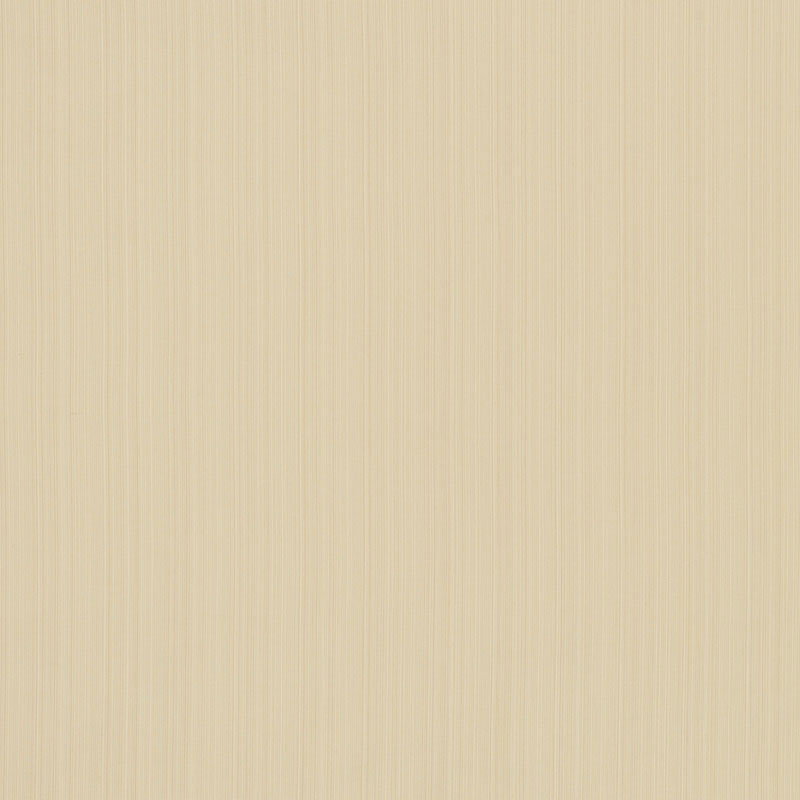 Buy 71002 Poetto Strie Straw by Schumacher Fabric