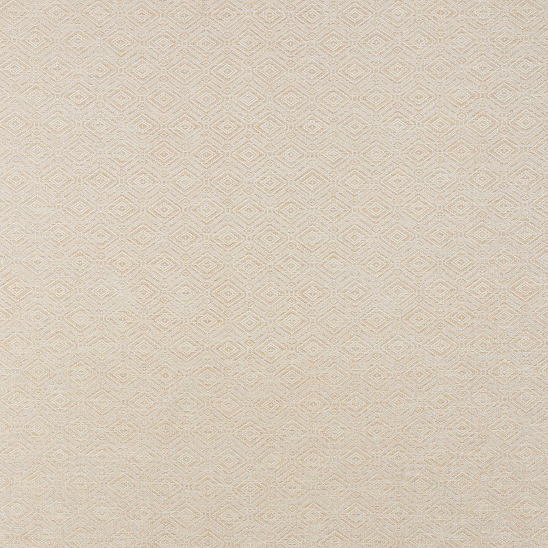 Buy 71131 Anderson Bamboo by Schumacher Fabric