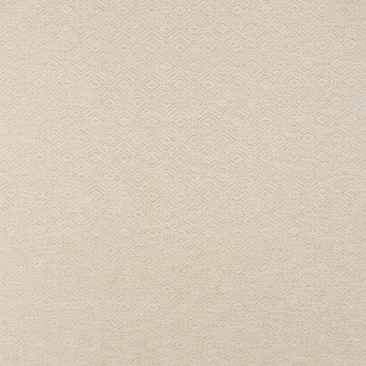 Buy 71131 Anderson Bamboo by Schumacher Fabric