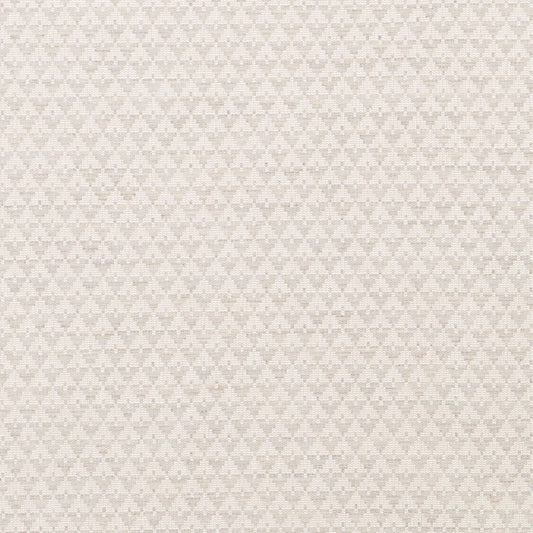 Shop 71181 Evans Dove by Schumacher Fabric