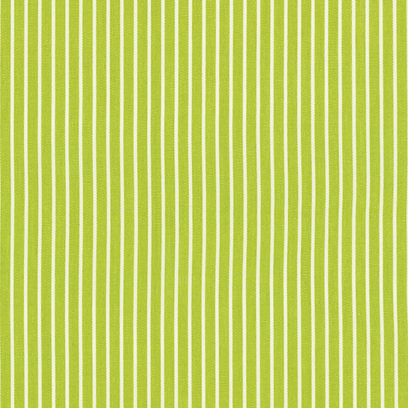 Shop 71306 Edie Stripe Green by Schumacher Fabric