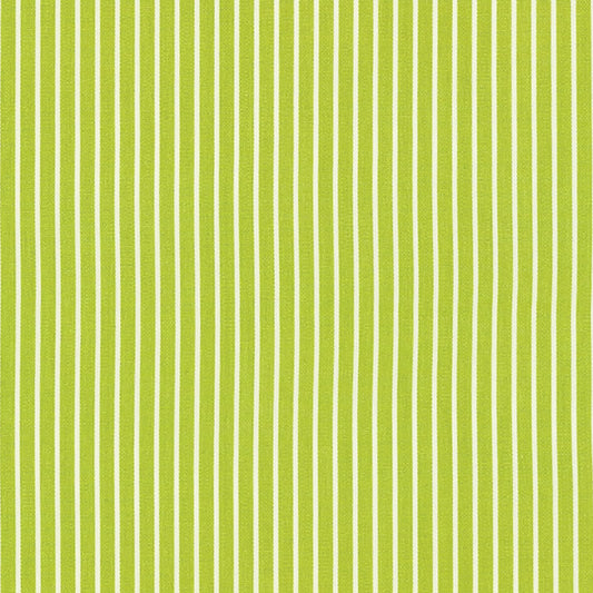 Shop 71306 Edie Stripe Green by Schumacher Fabric