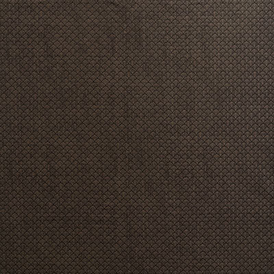 Buy 71620 Ashton Obsidian by Schumacher Fabric