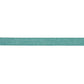 Purchase 72417 | Ashwood Tape Indoor/Outdoor, Aqua - Schumacher Trim