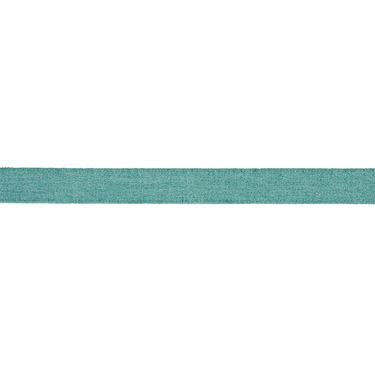 Purchase 72417 | Ashwood Tape Indoor/Outdoor, Aqua - Schumacher Trim
