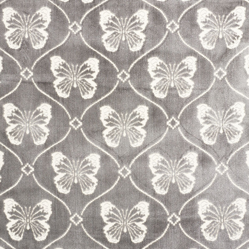 Find 72961 Papillon Velvet Pewter by Schumacher Fabric