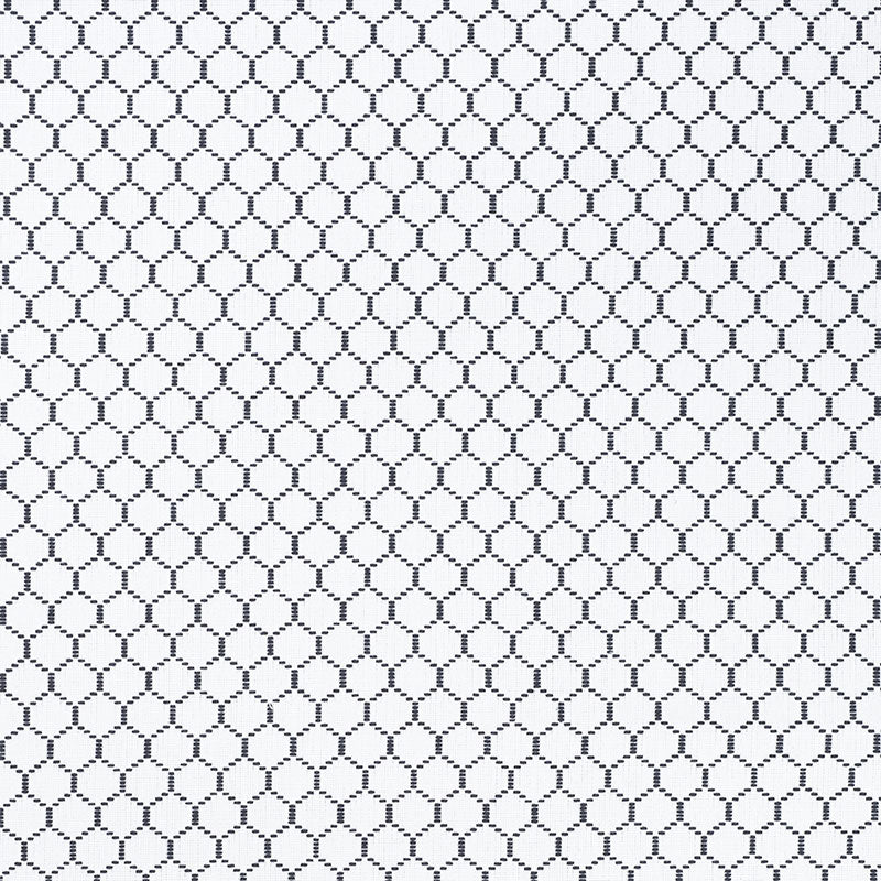 Purchase 73090 Fishnet Spectator by Schumacher Fabric
