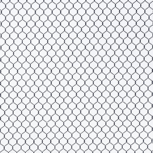 Purchase 73090 Fishnet Spectator by Schumacher Fabric