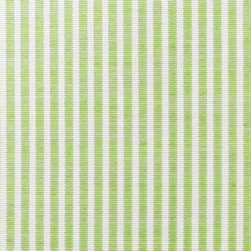 Looking 73151 Easton Stripe Leaf by Schumacher Fabric