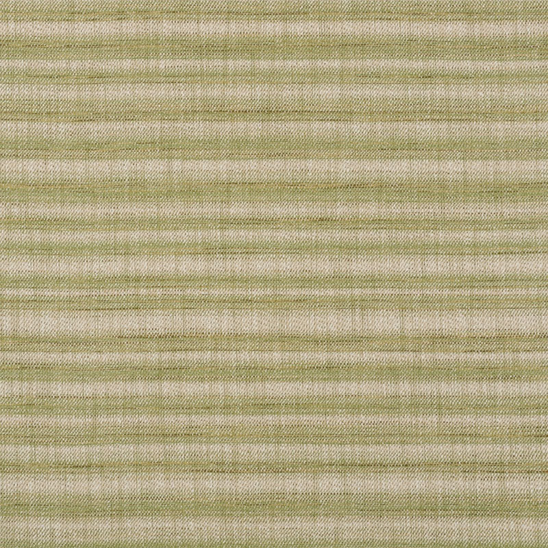 View 73362 Petra Stripe Grass by Schumacher Fabric